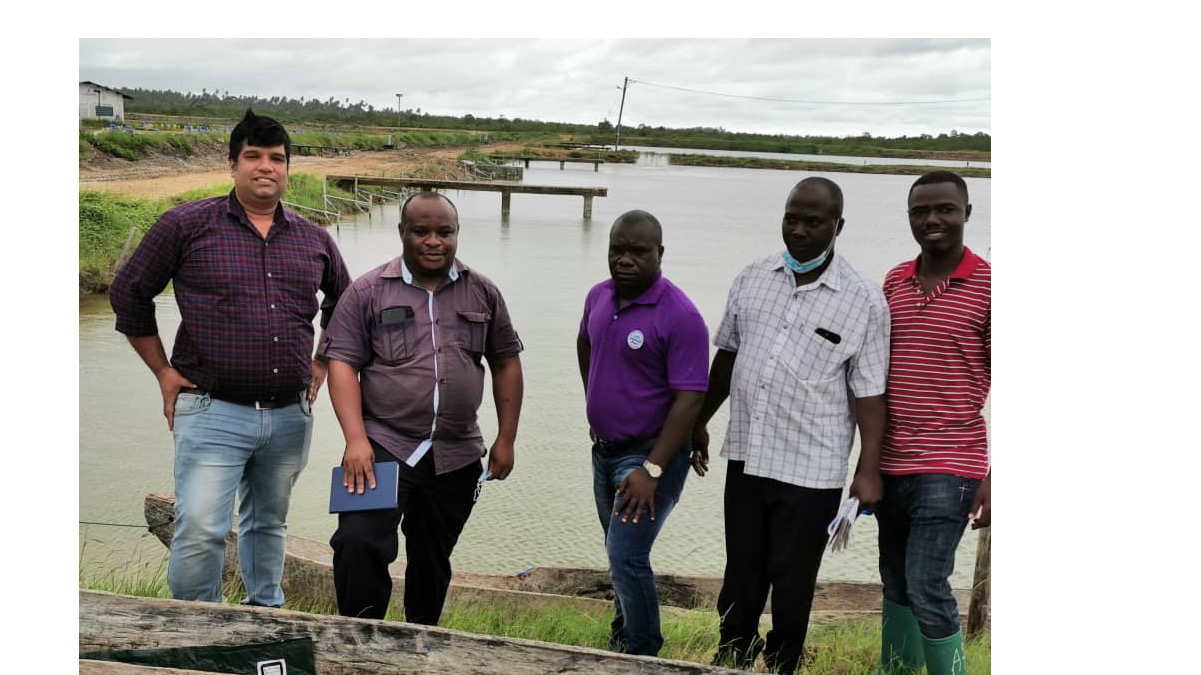 News photo