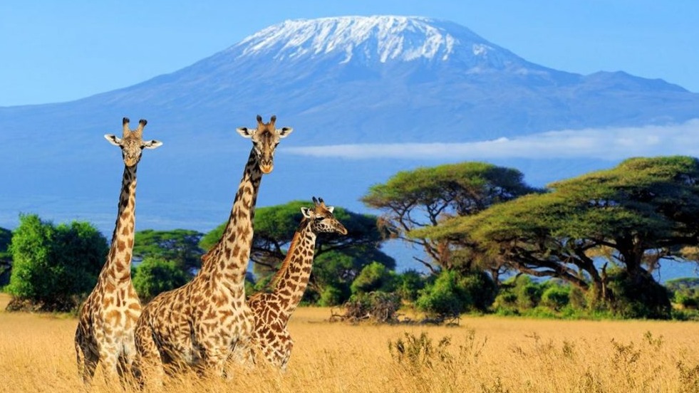 TOURISM